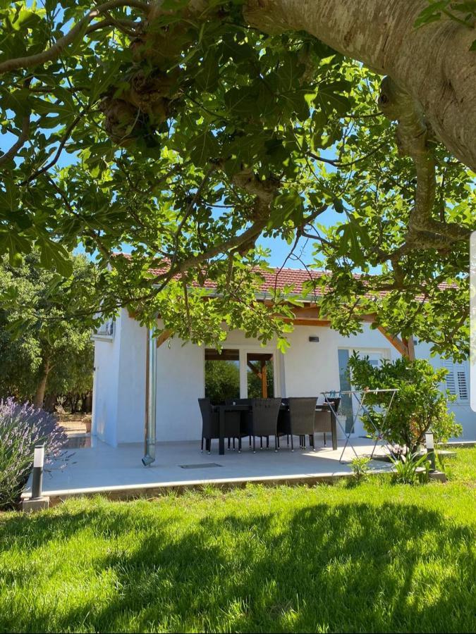 Holiday House Lucia Sukošan Eksteriør bilde